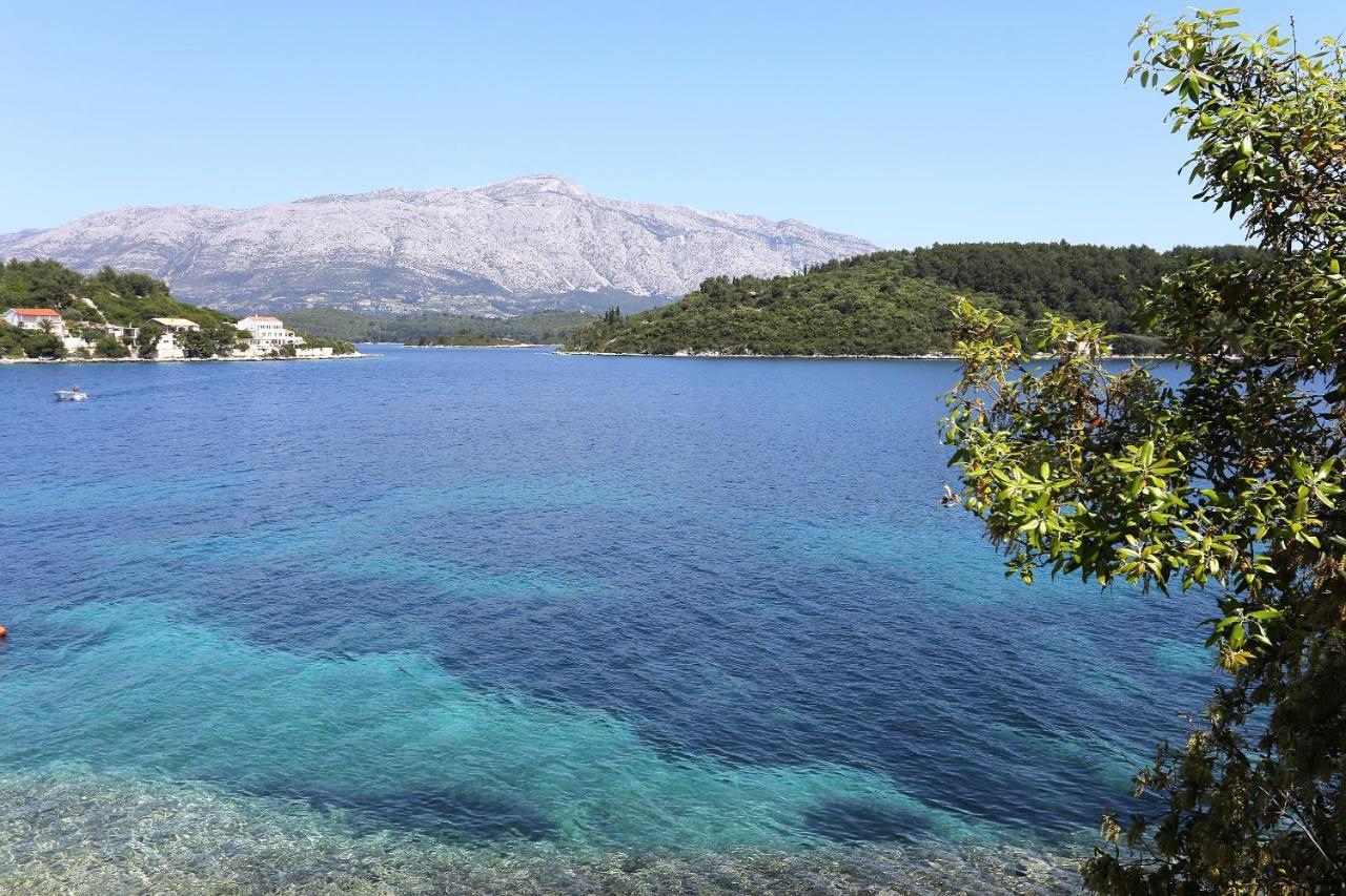 Apartments By The Sea Lumbarda, Korcula - 4446 Luaran gambar